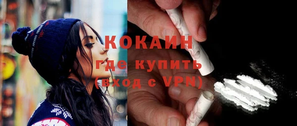 индика Армянск