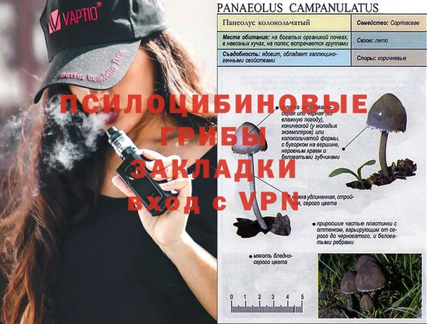 индика Армянск