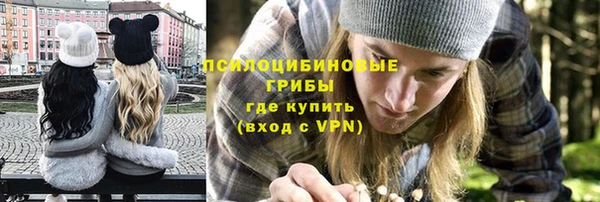 PSILOCYBIN Арсеньев