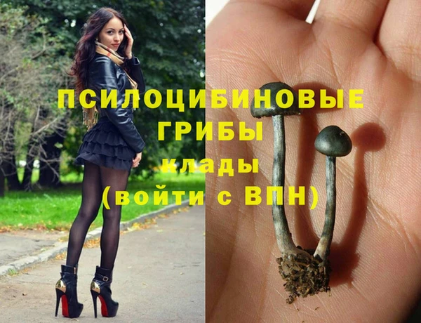 круглые Аркадак