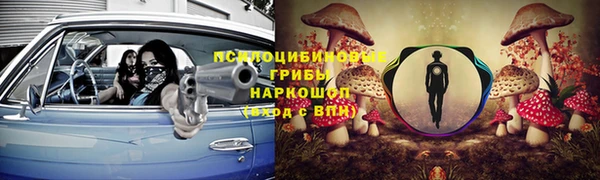 индика Армянск