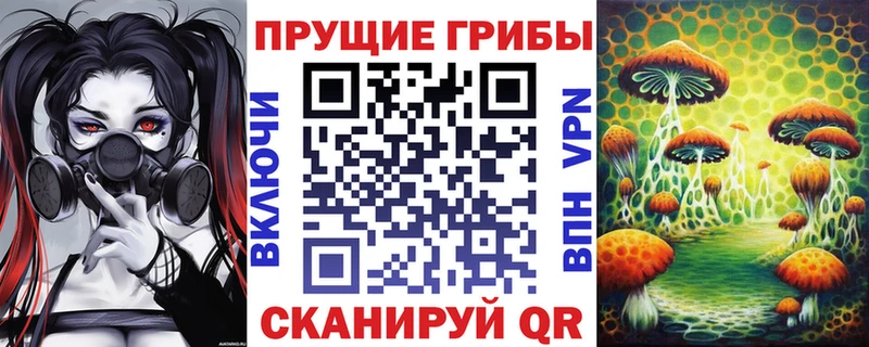 Псилоцибиновые грибы ЛСД Купить Александров